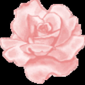 Meet your Posher, Monnalisa